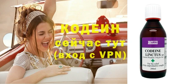 индика Богородицк