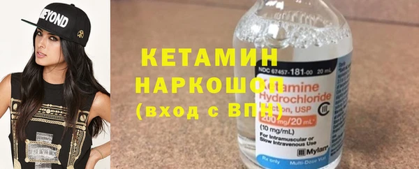 индика Богородицк
