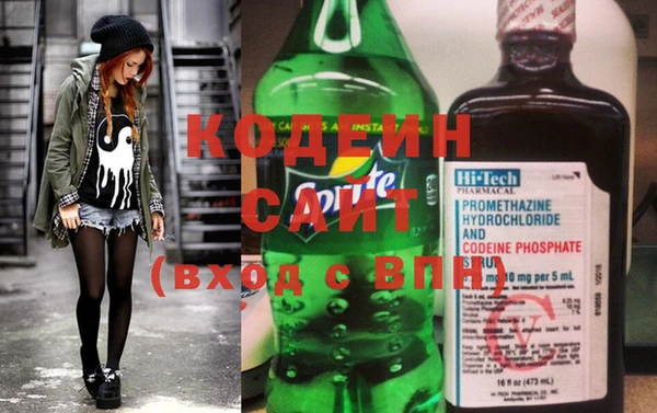 индика Богородицк