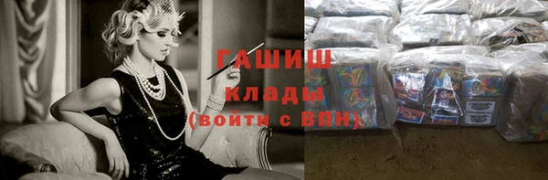 индика Богородицк