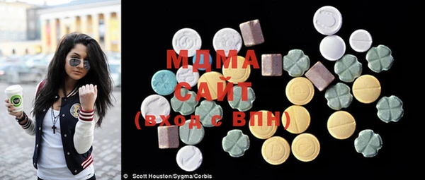индика Богородицк