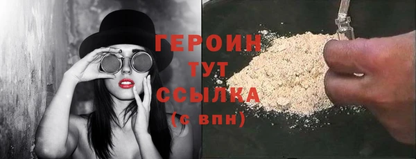 индика Богородицк