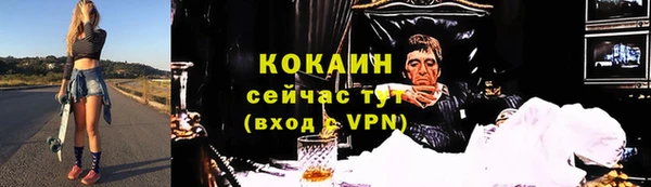индика Богородицк