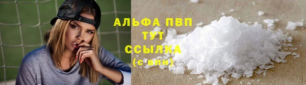 индика Богородицк