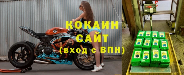 дмт Богородск