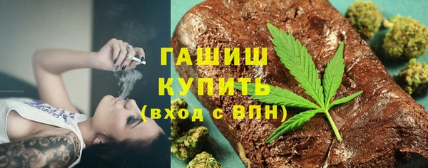 индика Богородицк