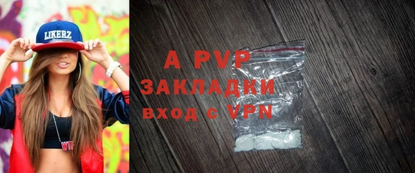 индика Богородицк