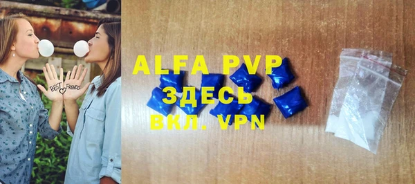 индика Богородицк