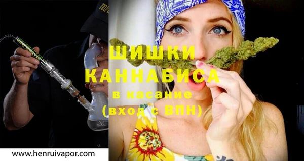 индика Богородицк